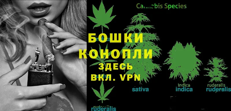 наркотики  Ряжск  Каннабис Ganja 